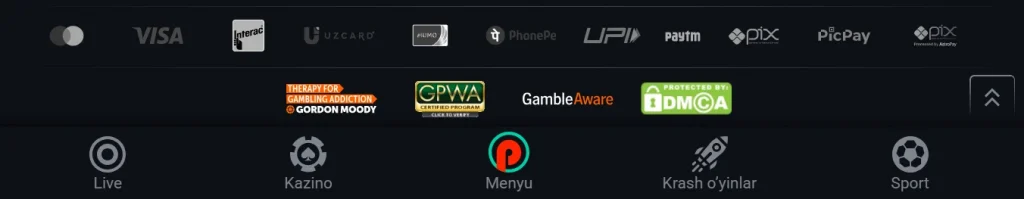 Pin Up Uzbekistan’da To‘lov tizimlari